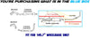2007-2011 Toyota Tundra (145.7in WB) Exhaust Muffler and Tail Pipe